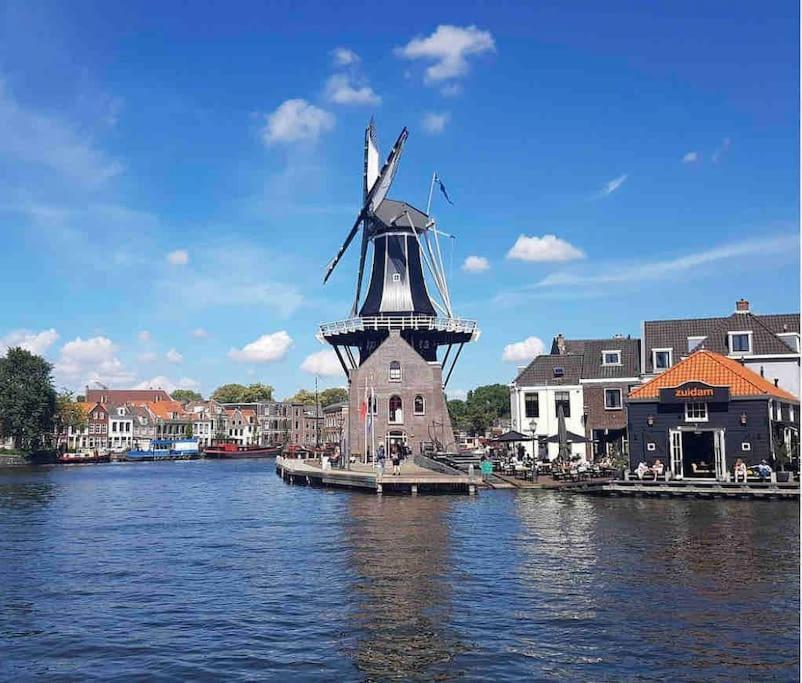 Appartement Met Tuin In Haarlem Centrum Eksteriør bilde
